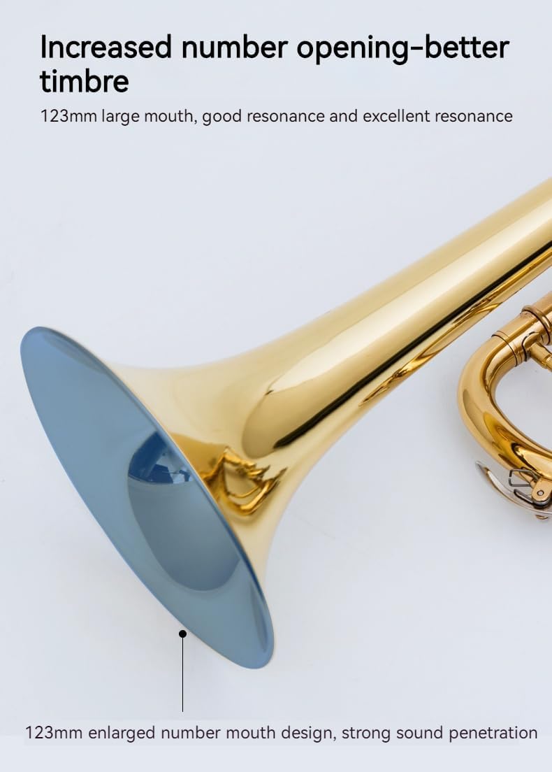 Golden B Flat Three-Tone Trumpet with Box Maintenance Suit Y481