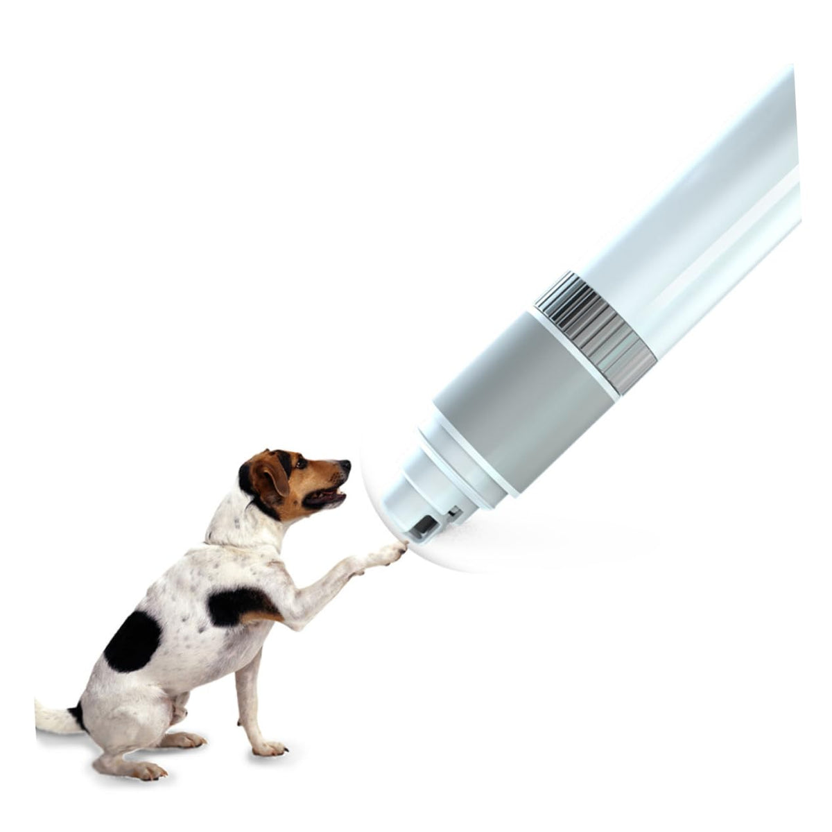 Electric Pet Nail Grinder O106473