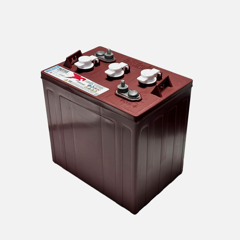 6V 225 Ah Deep Cycle Flooded Battery N930