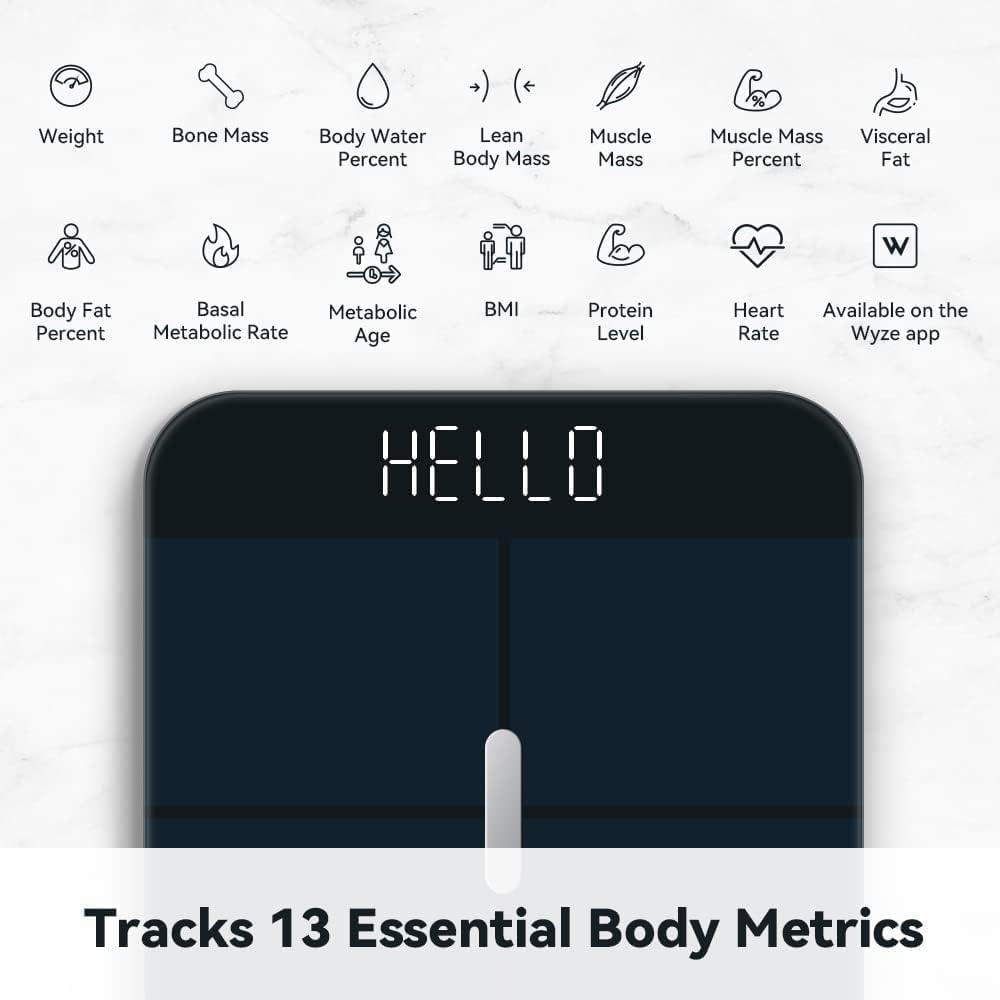 Smart Scale R822