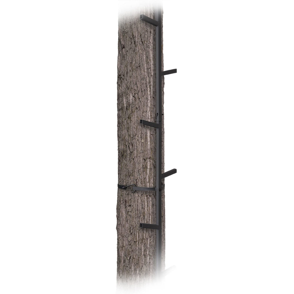 Climbing Ladder Sticks, 20 ft Portable S49074