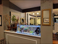 6 Gallon Clear Glass Aquarium P804408