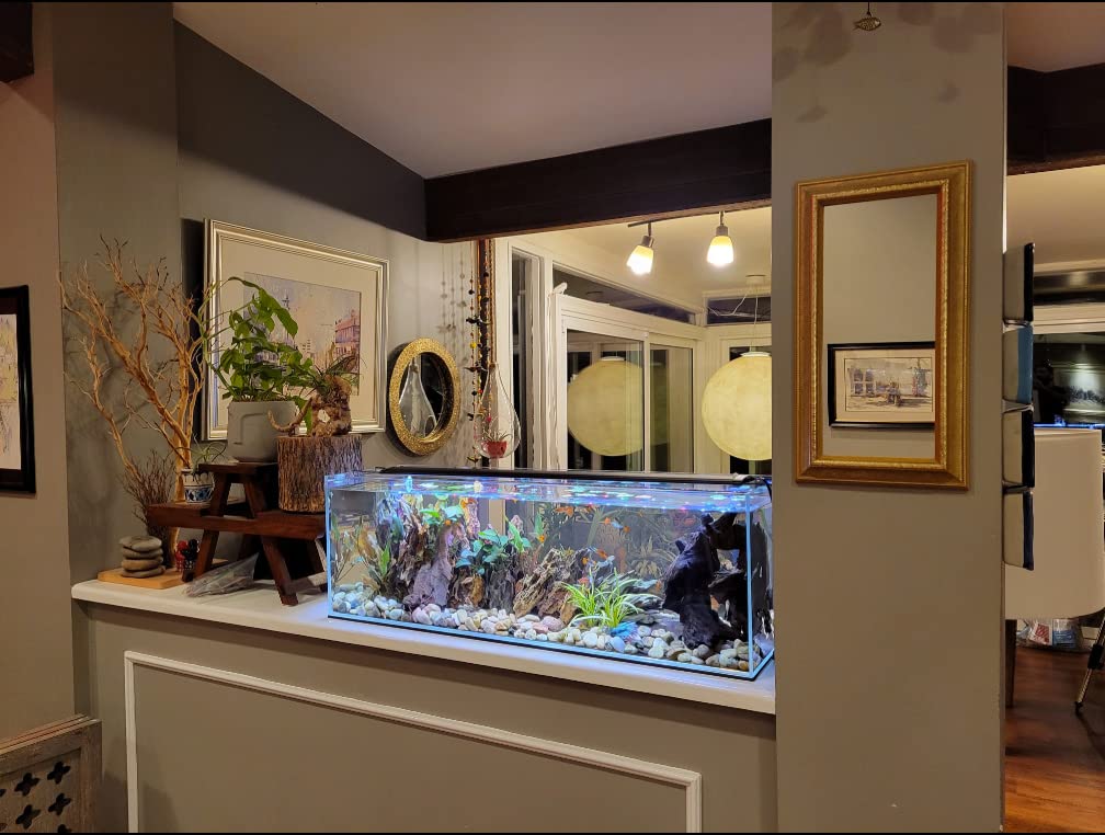 6 Gallon Clear Glass Aquarium P804408