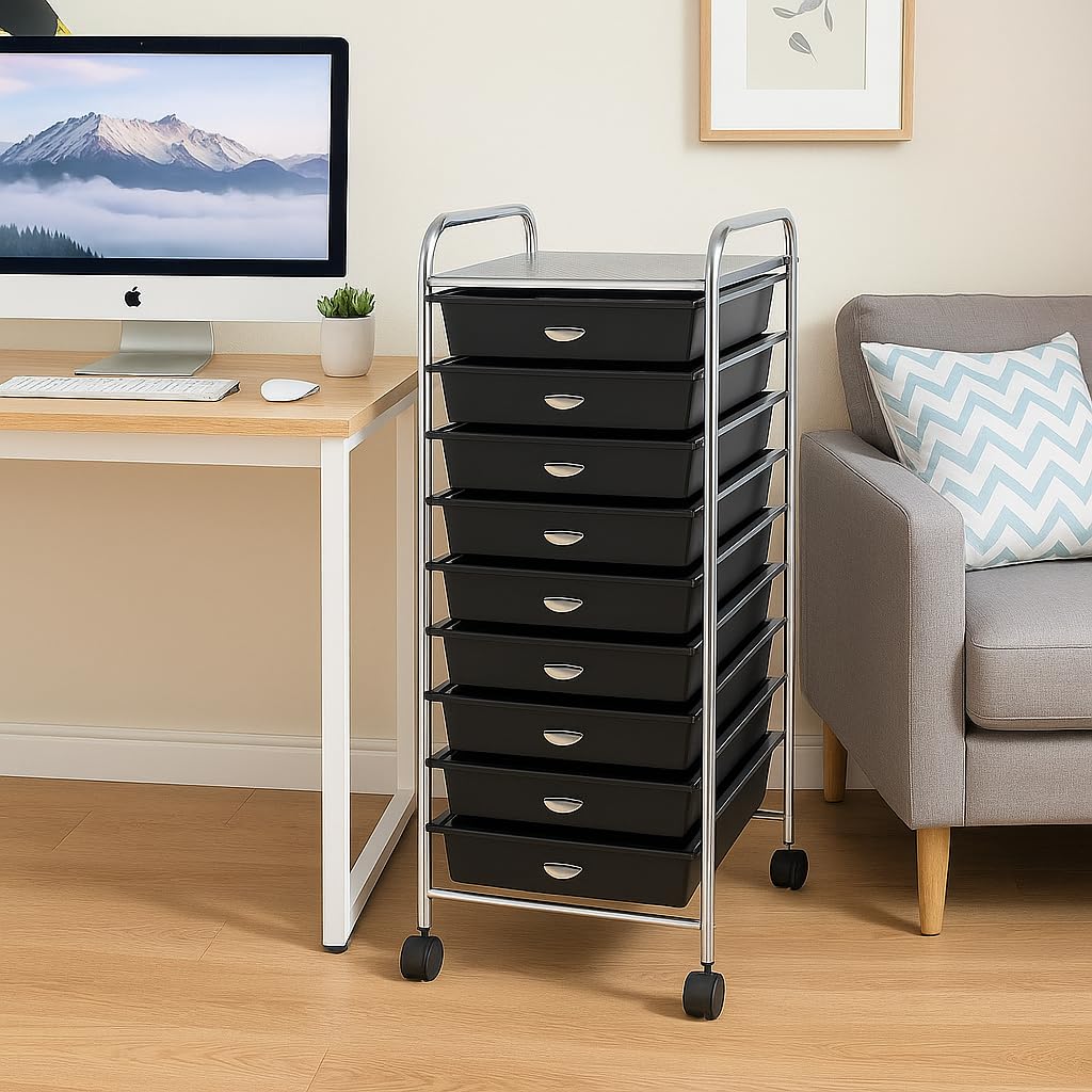 10 Drawer Rolling Storage Organizer A204