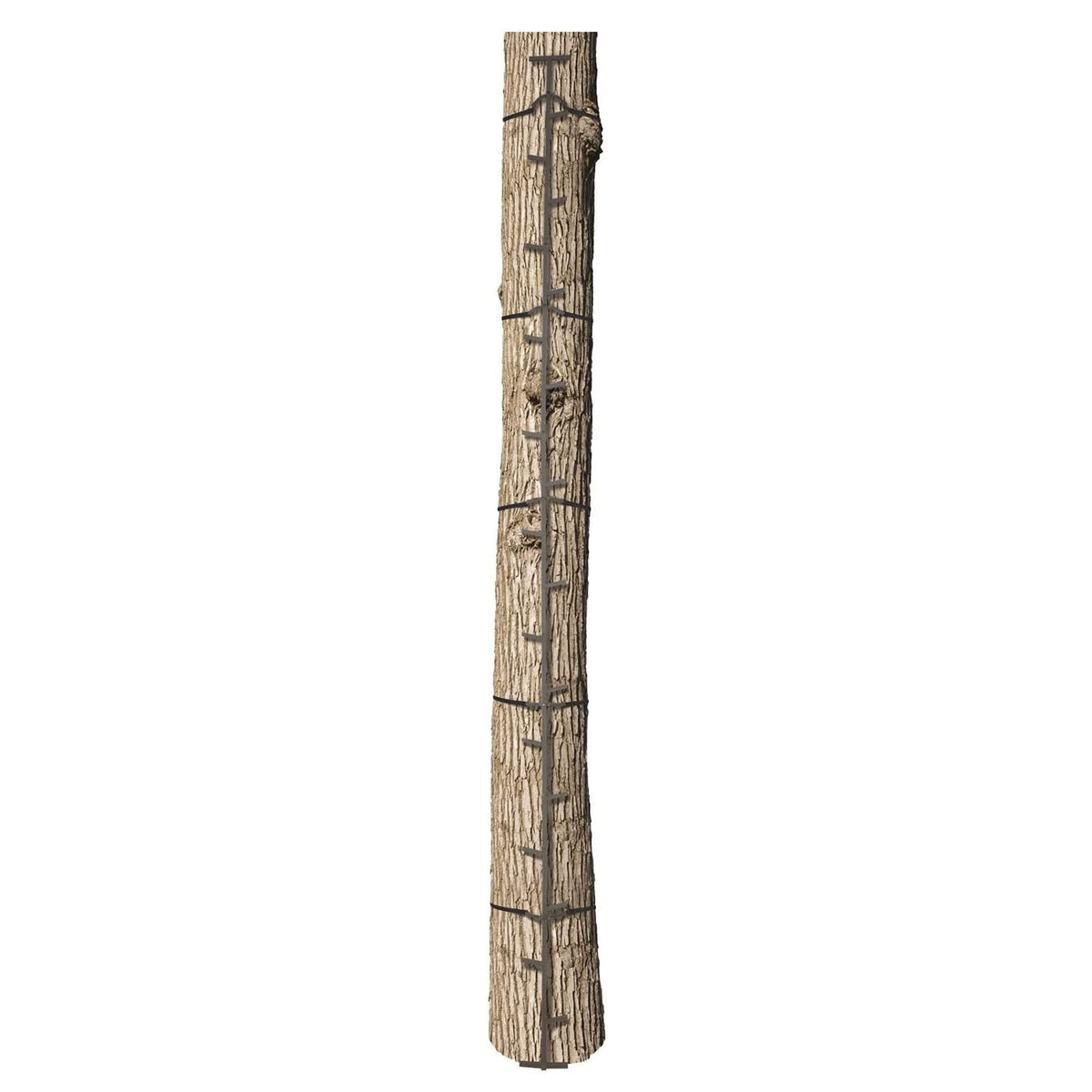 Climbing Ladder Sticks, 20 ft Portable S49074