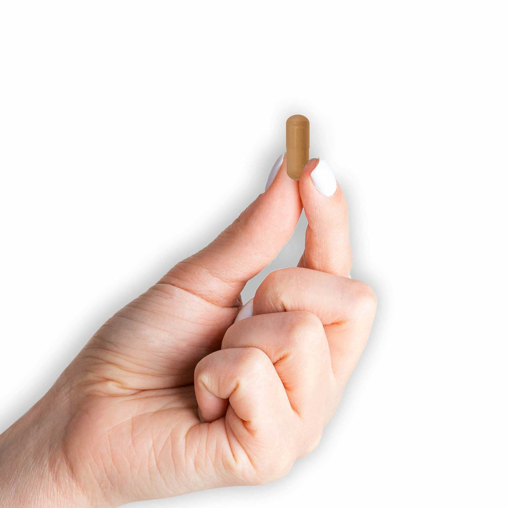 Cinnamon 1000 mg Dietary Supplement Capsules N693