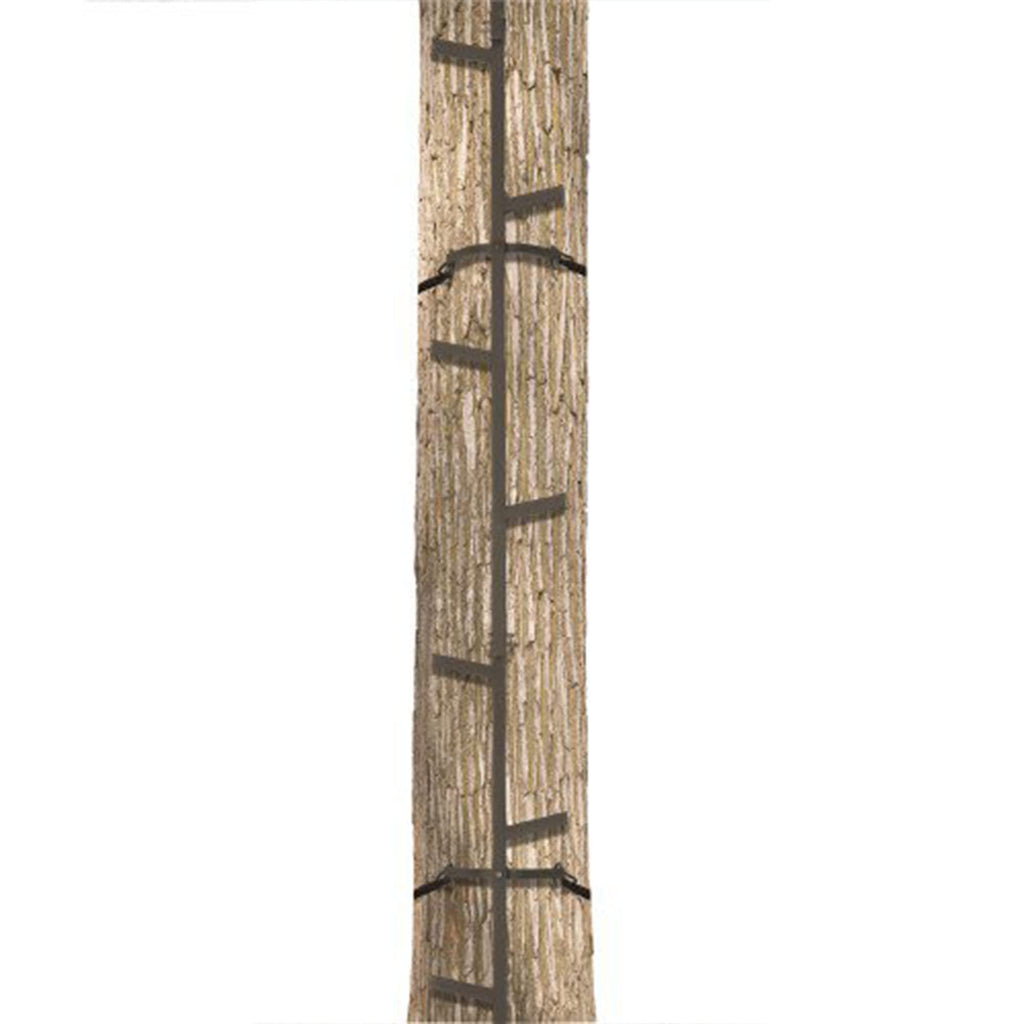 Climbing Ladder Sticks, 20 ft Portable S49074