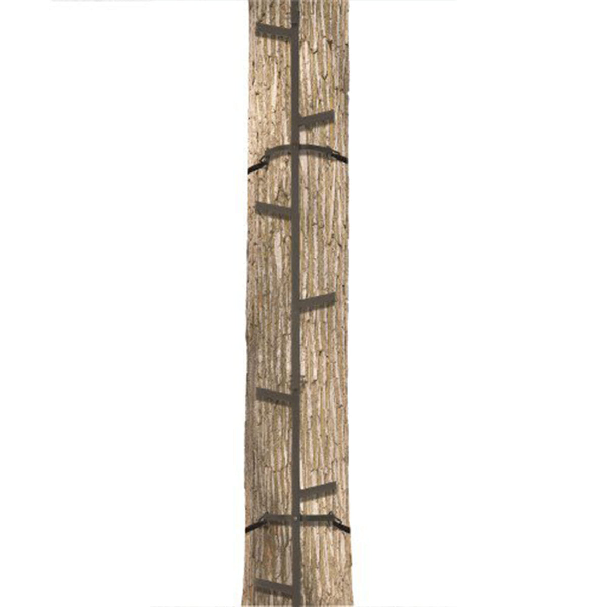 Climbing Ladder Sticks, 20 ft Portable S49074