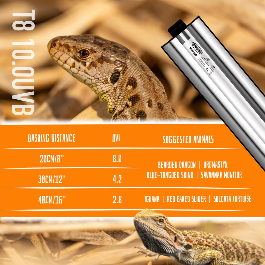 15W UVB Reptile Light Kit 18 inches F25576