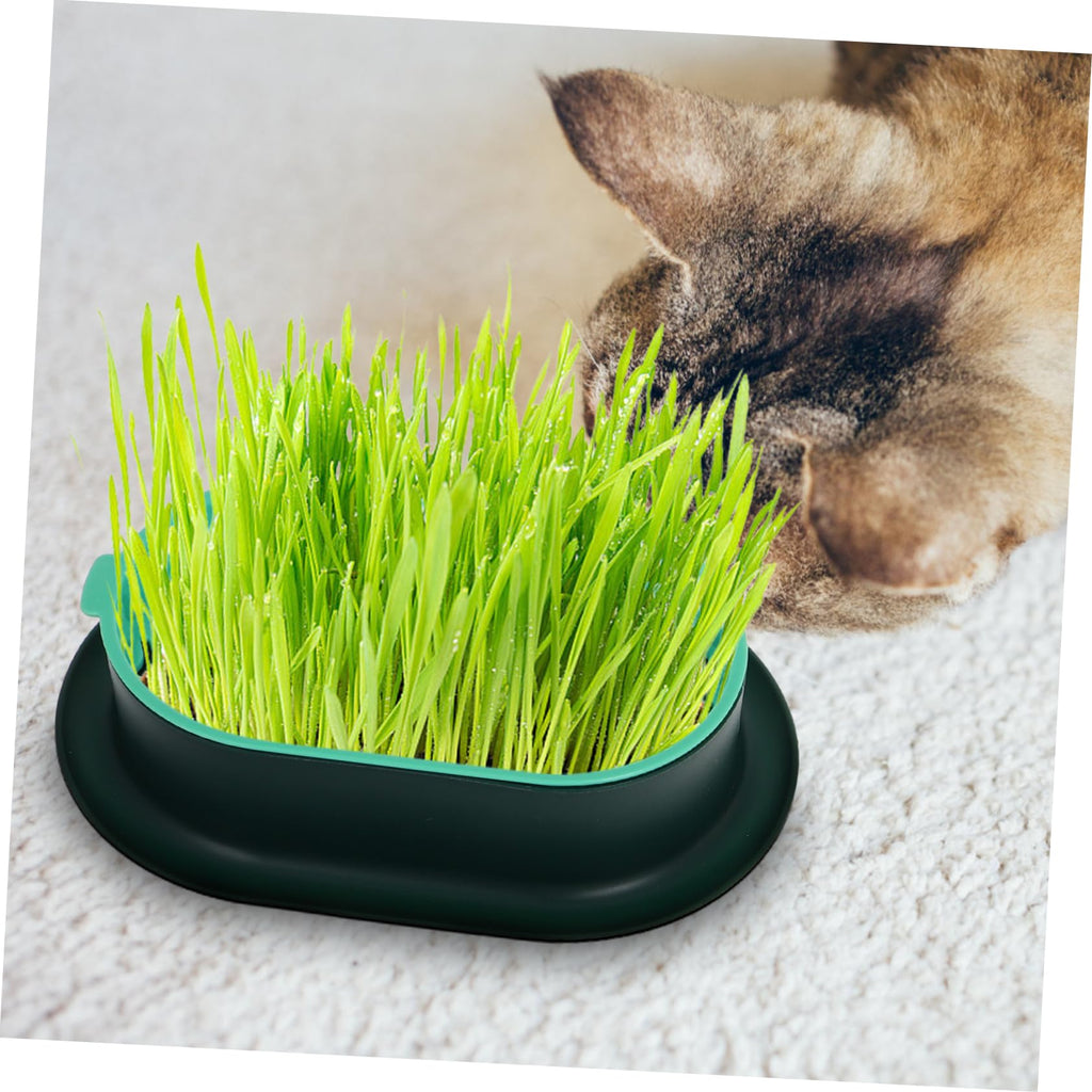 3 Pack Plastic Cat Grass Planter Boxes S3949