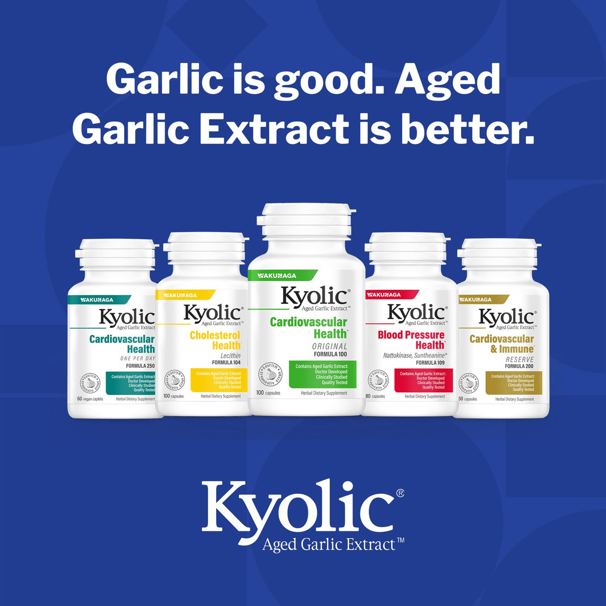 Aged Garlic Extract 300 Capsules N66240