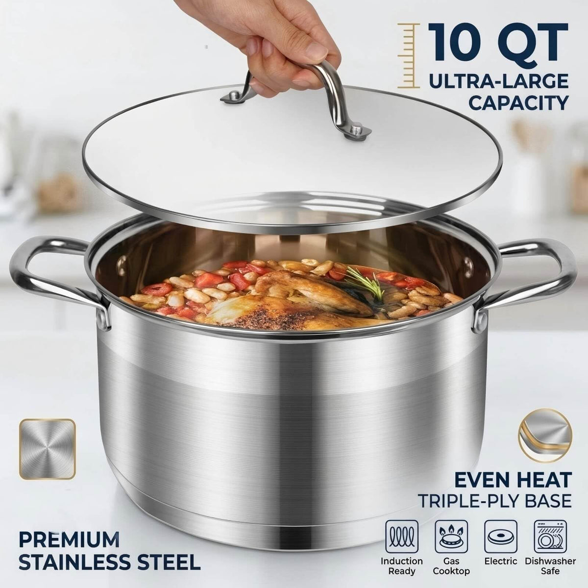 10 Quart Stainless Steel Stock Pot with Lid H240