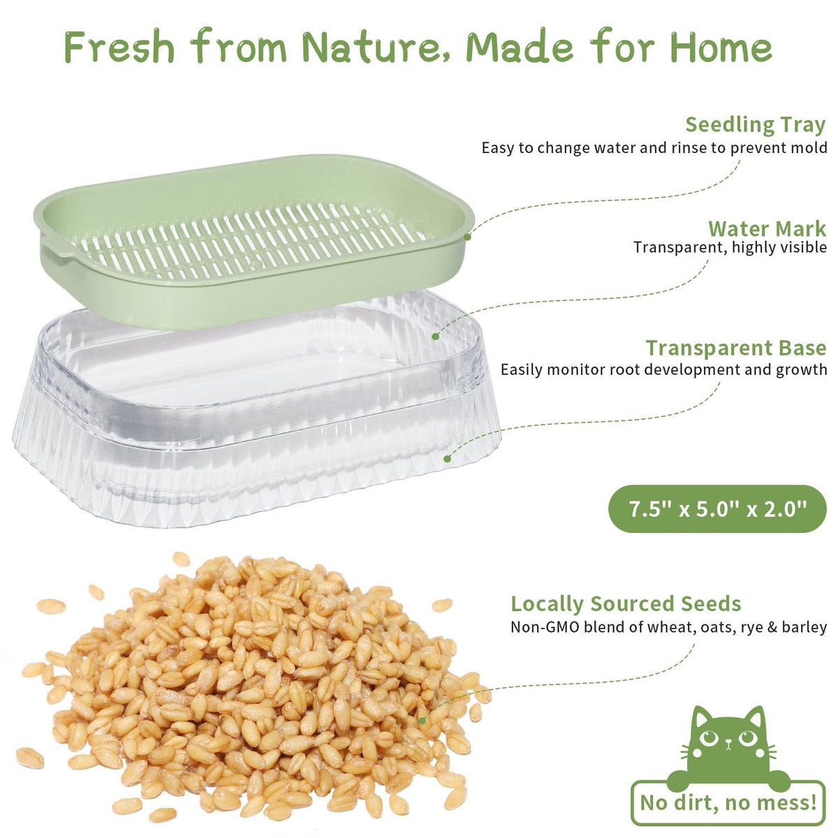 Hydroponic Cat Grass Grow Kit with 5Pack Non GMO Seeds N368398