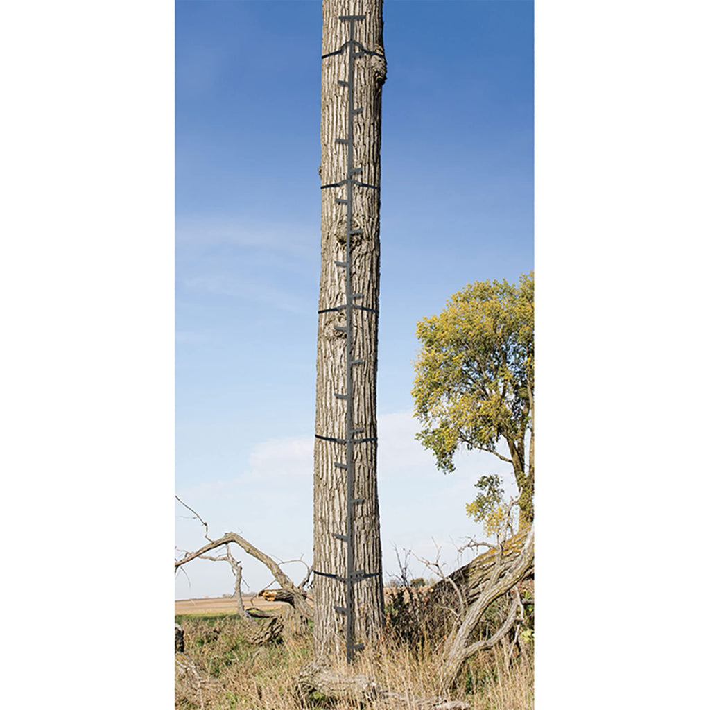 Climbing Ladder Sticks, 20 ft Portable S49074