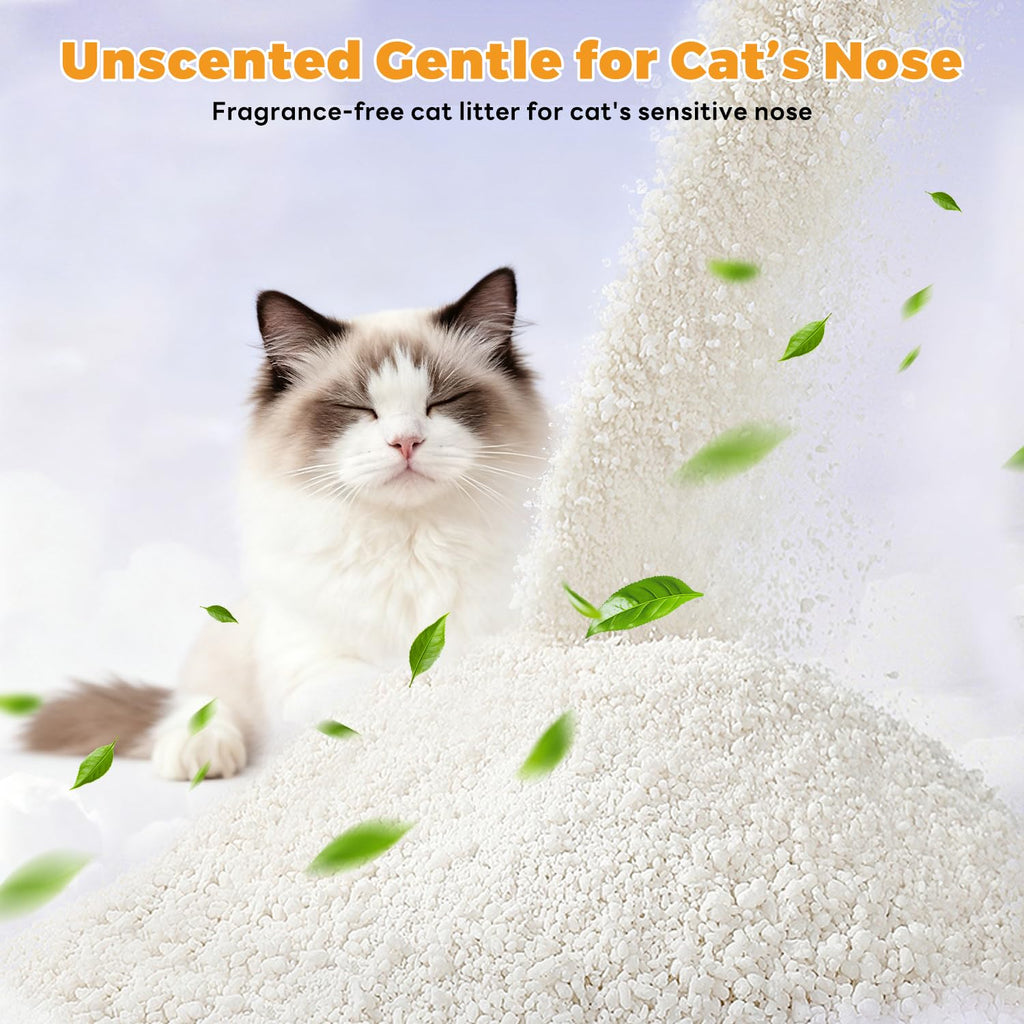 Non-Stick Clumping Cat Litter 18 lbs 2 Pack L396588