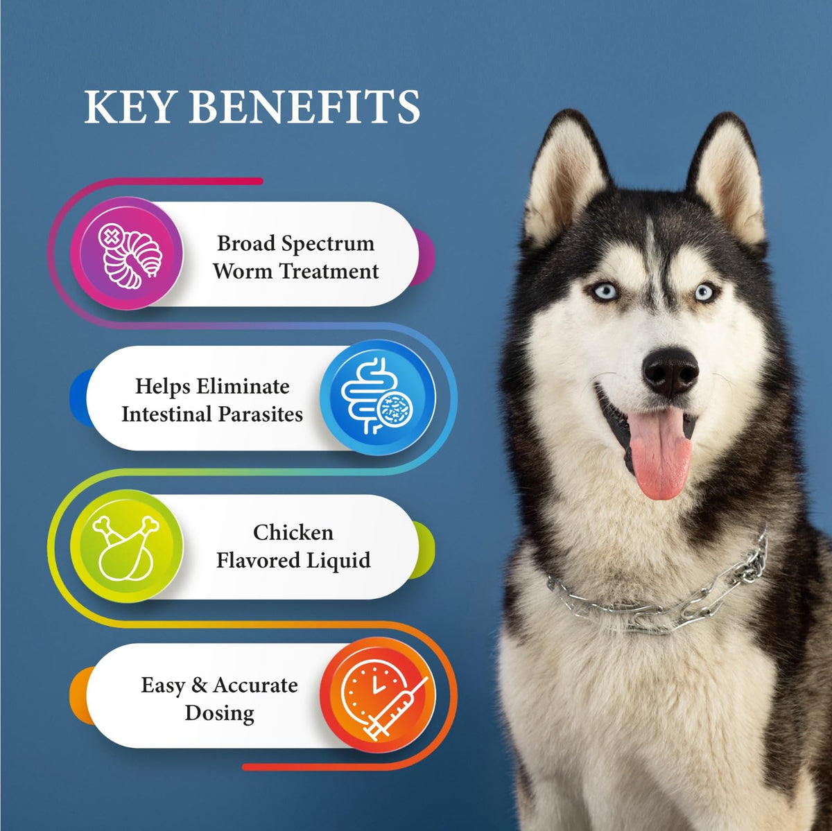 Broad Spectrum Dog Dewormer Treatment 120ml Banana Flavour K572