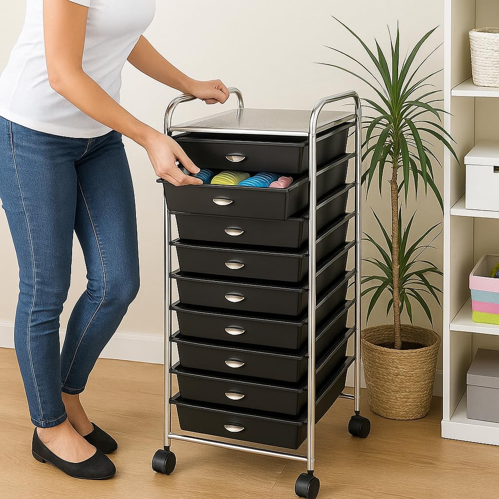 10 Drawer Rolling Storage Organizer A204
