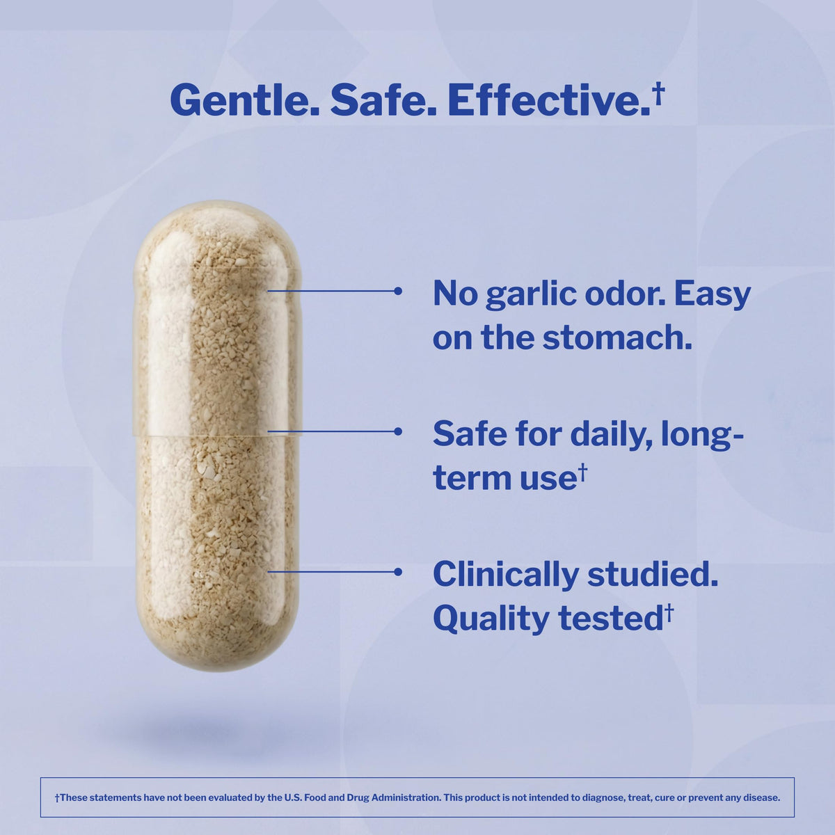 Aged Garlic Extract 300 Capsules N66240