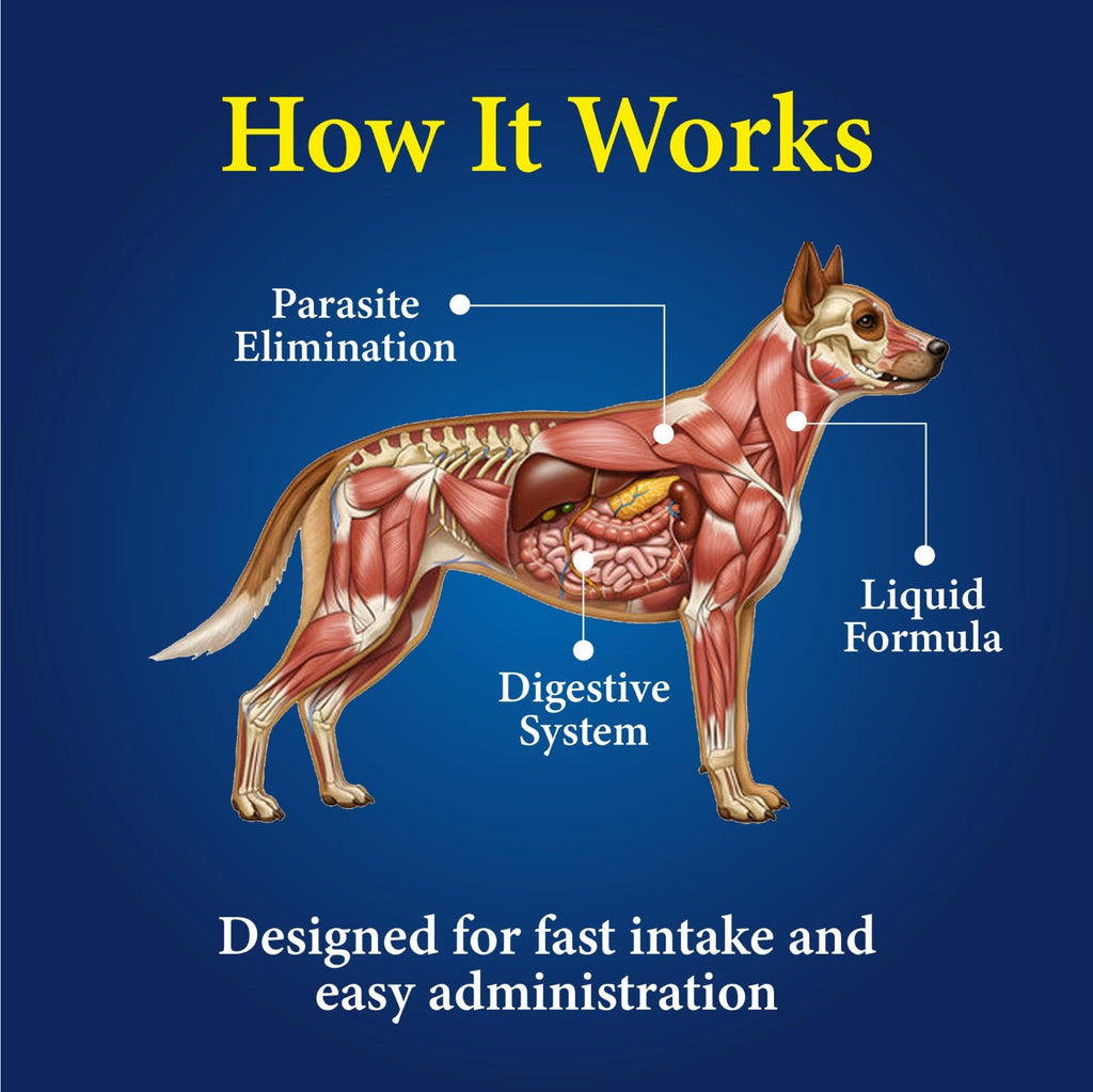 Broad Spectrum Dog Dewormer Treatment 120ml Banana Flavour K572