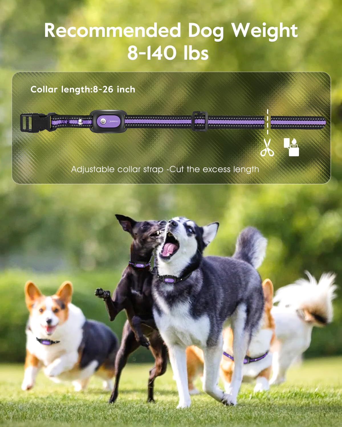 Dog Shock Collar 2 Dogs T796921