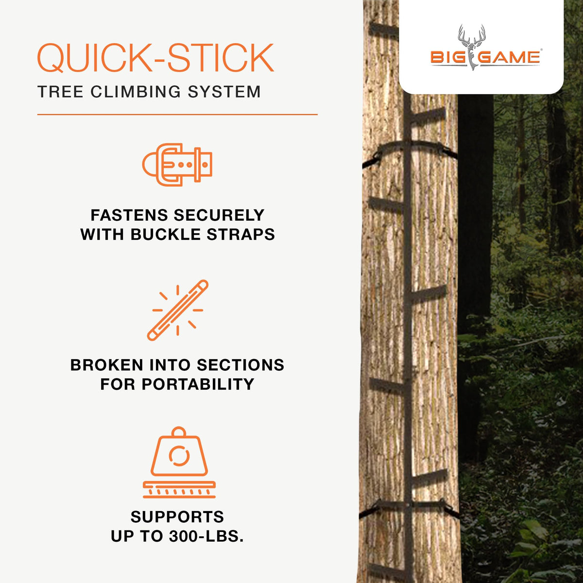 Climbing Ladder Sticks, 20 ft Portable S49074