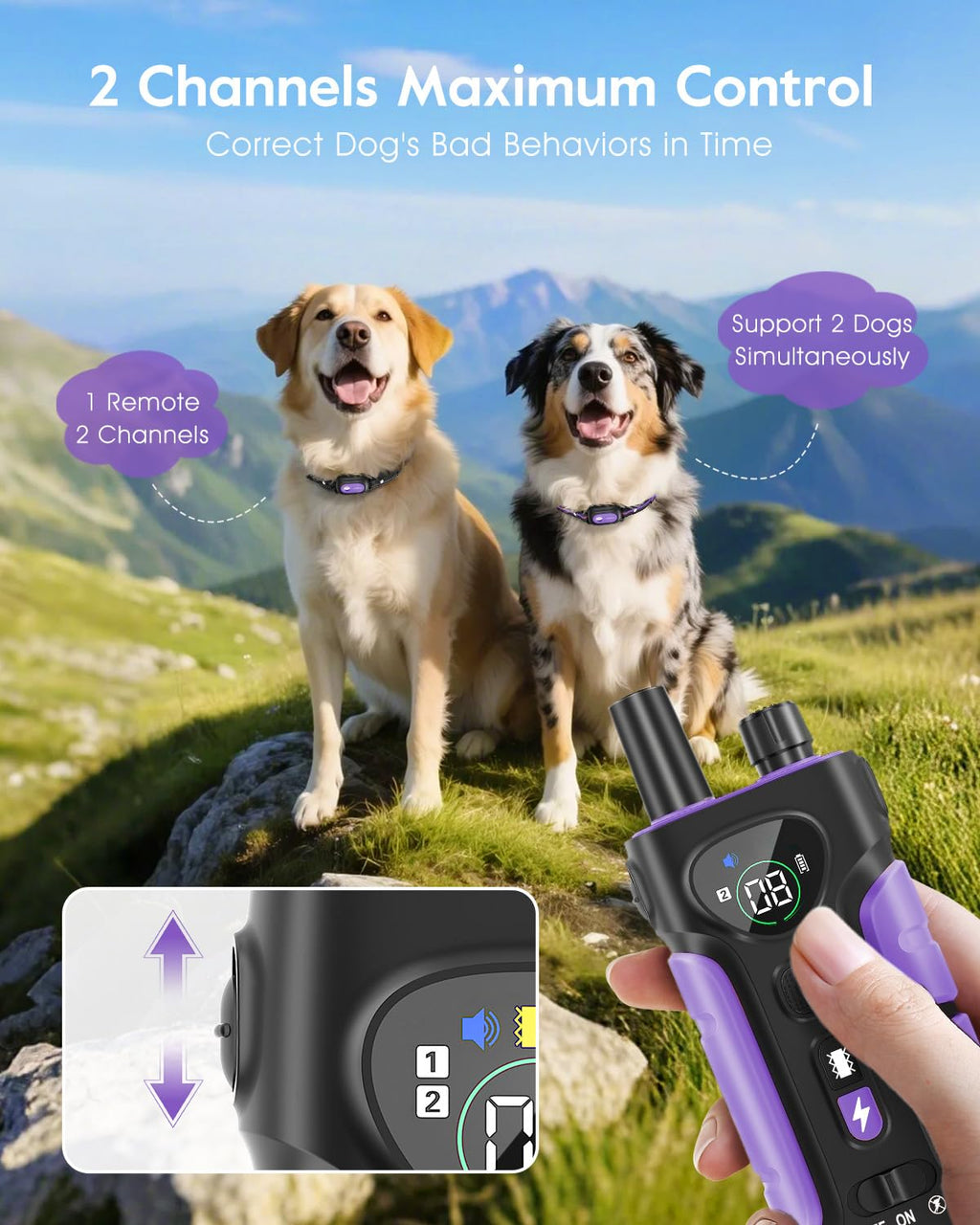 Dog Shock Collar 2 Dogs T796921
