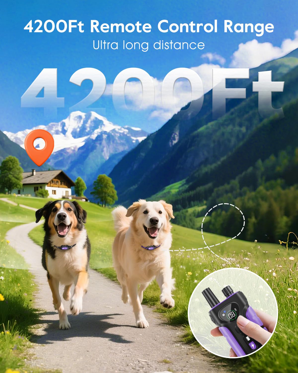 Dog Shock Collar 2 Dogs T796921
