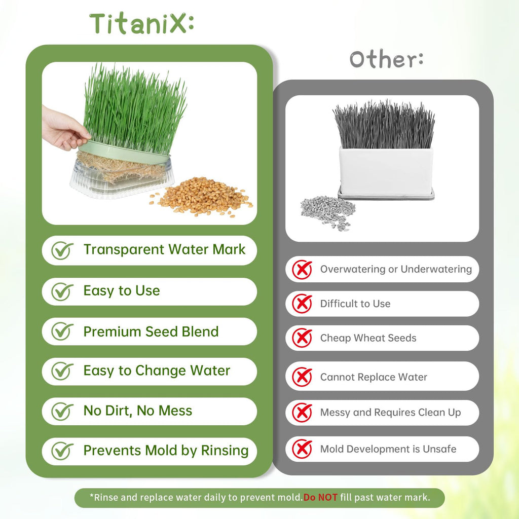 Hydroponic Cat Grass Grow Kit with 5Pack Non GMO Seeds N368398