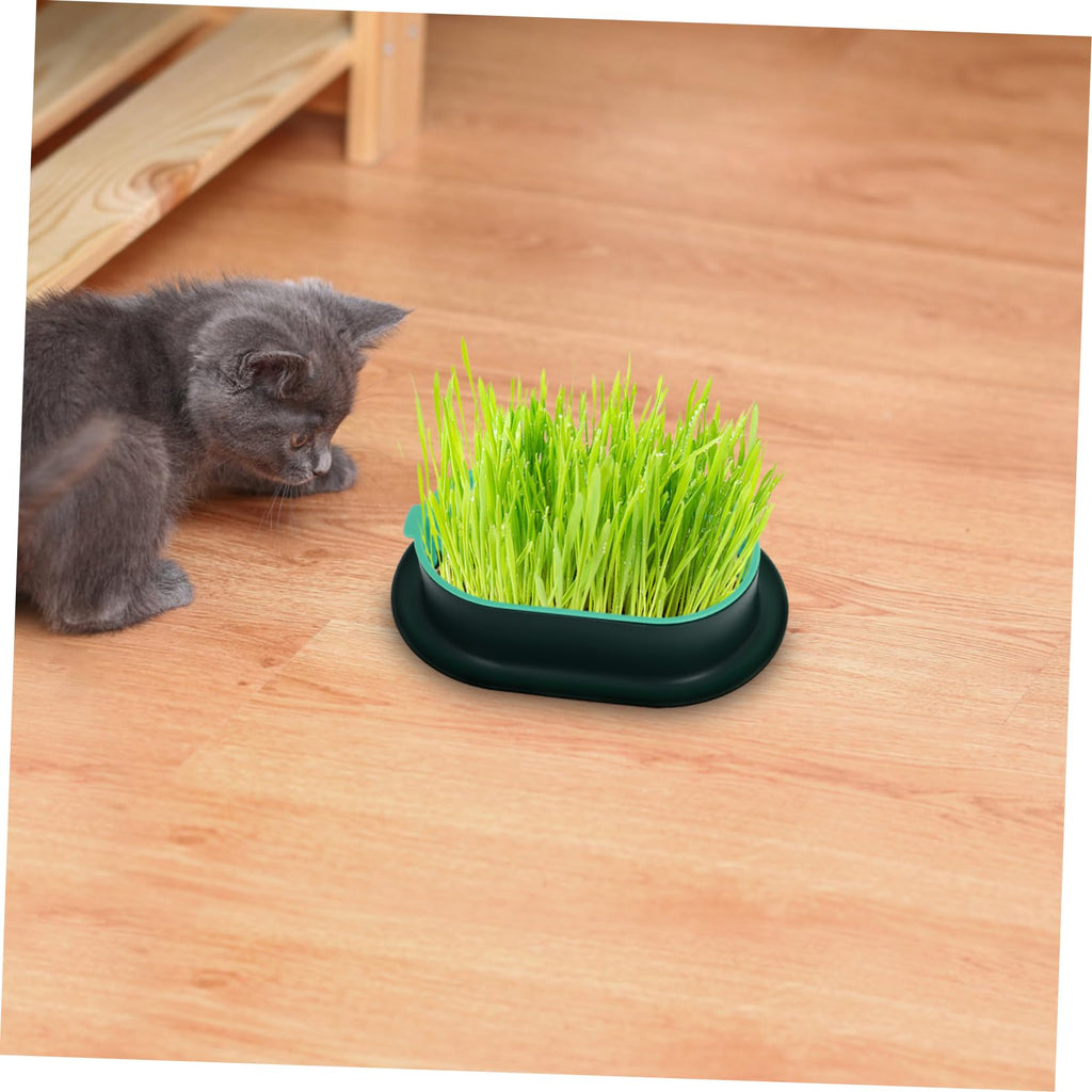3 Pack Plastic Cat Grass Planter Boxes S3949