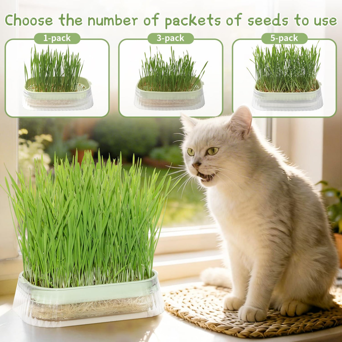 Hydroponic Cat Grass Grow Kit with 5Pack Non GMO Seeds N368398