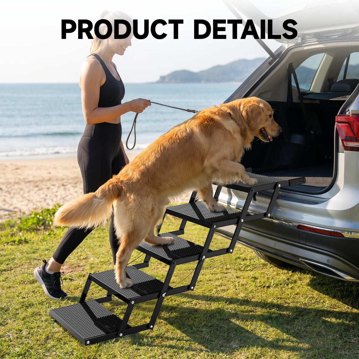 Foldable Dog Stairs Y94271