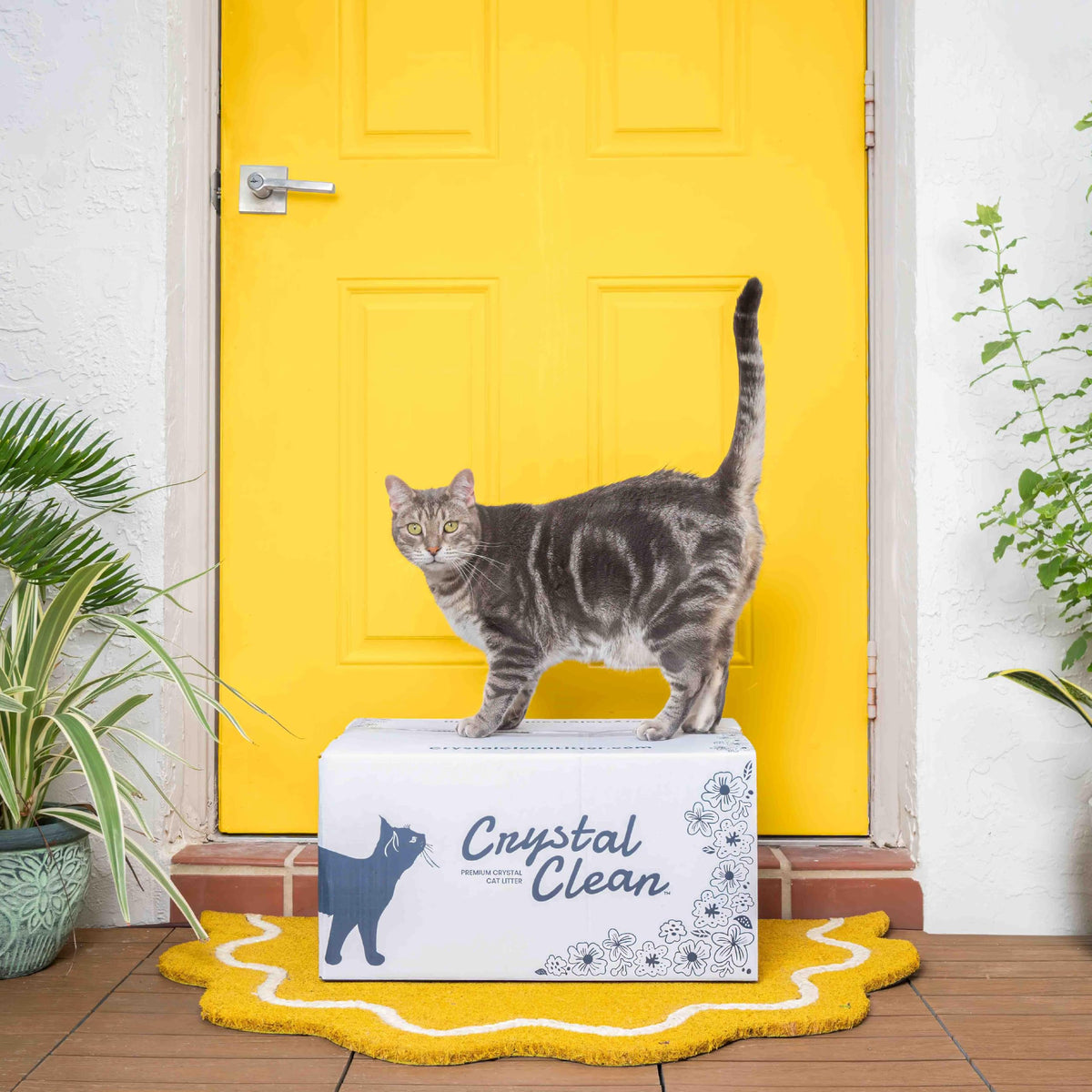 Fresh Scent Crystal Cat Litter with Odor Control, 2X4.3 Lb Bags T23578