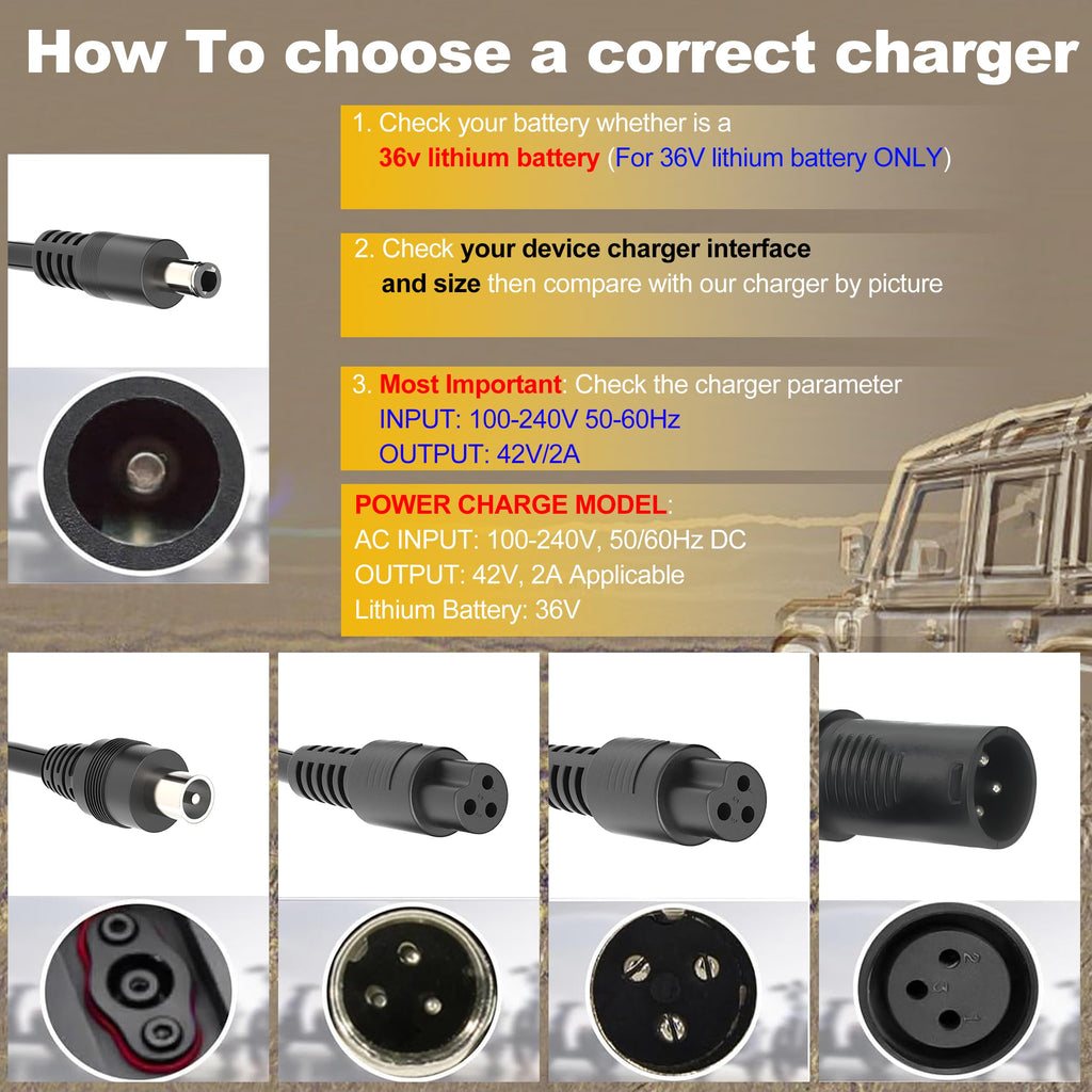 42V 2A Scooter Charger with 5 Types of Connectors F476657