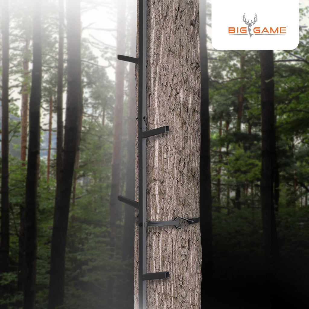 Climbing Ladder Sticks, 20 ft Portable S49074