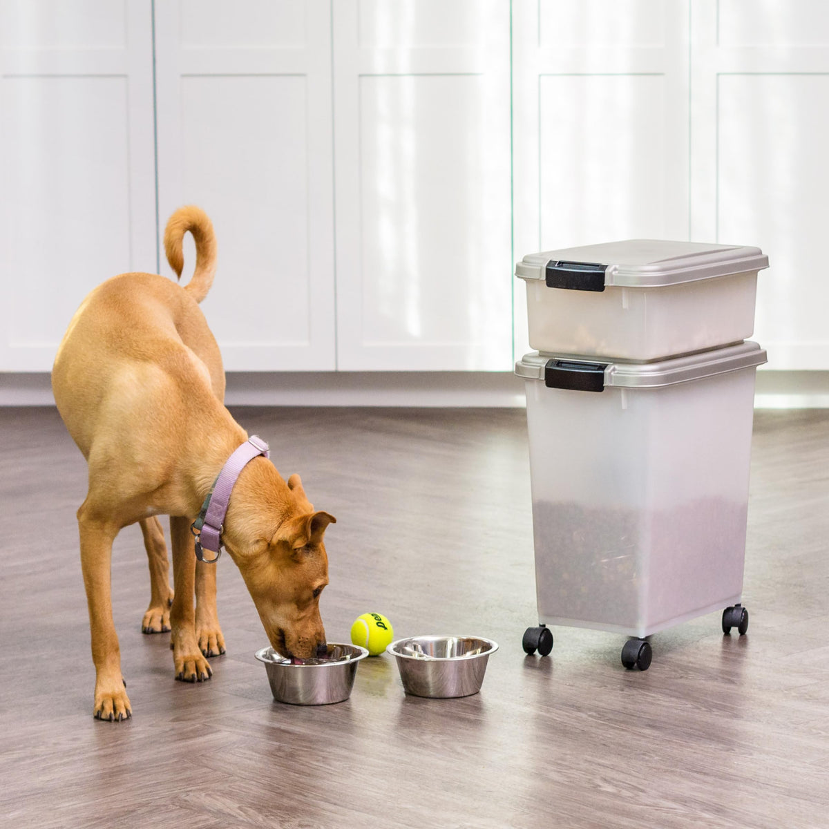 Dog Food Storage Container, Up to 30+11 lbs, Gray B743562