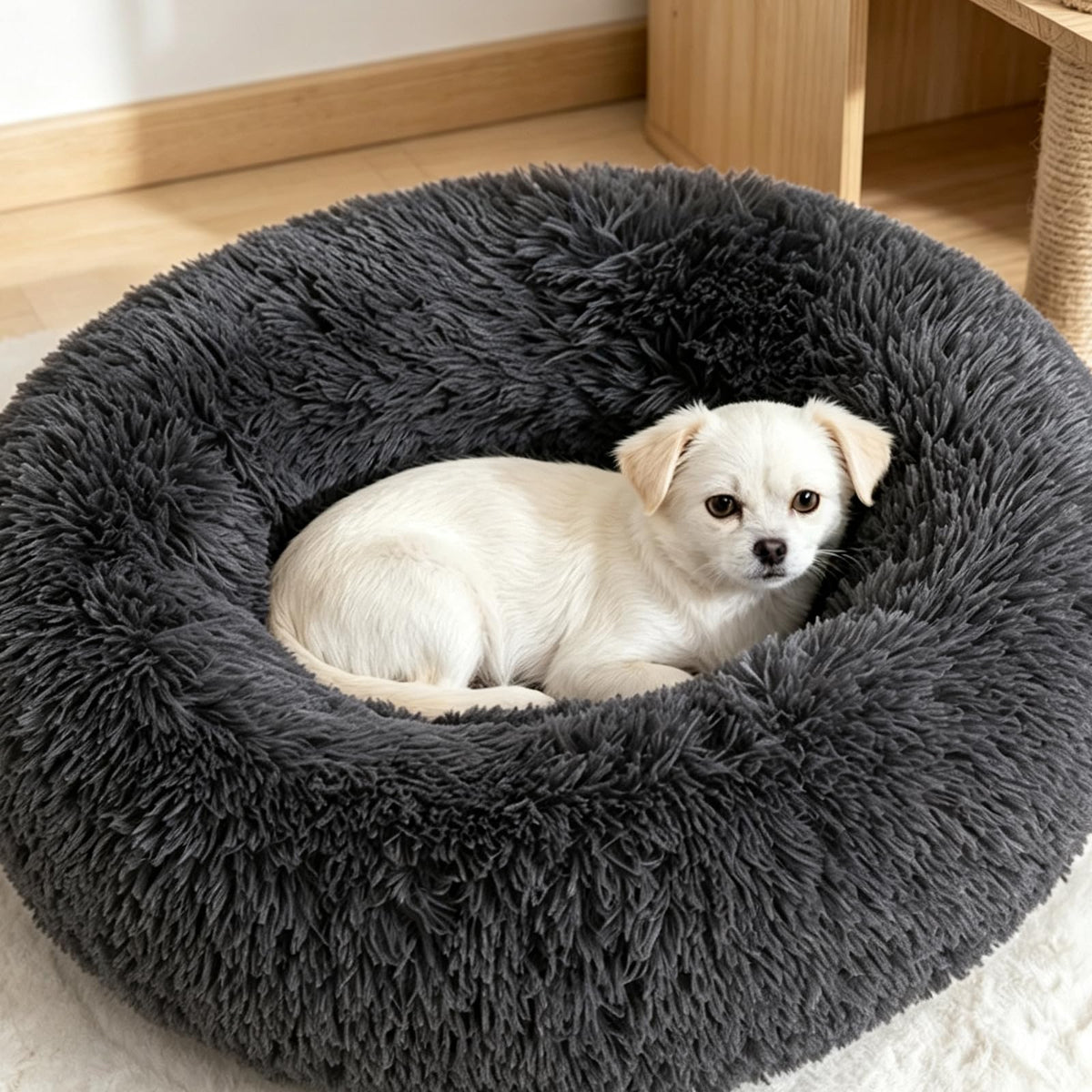 Cat Bed R928851