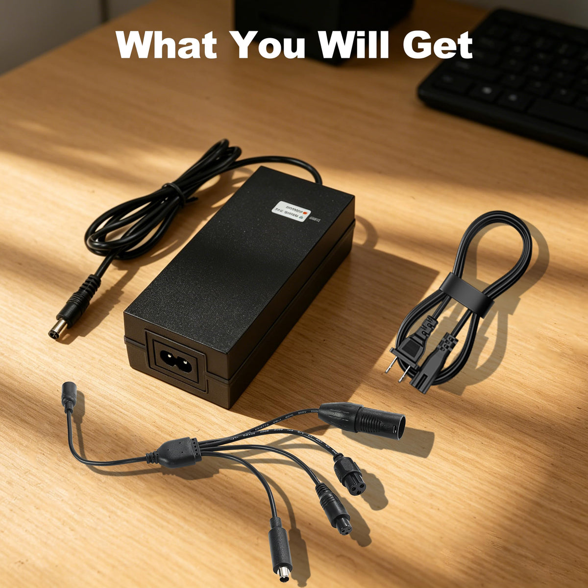 42V 2A Scooter Charger with 5 Types of Connectors F476657