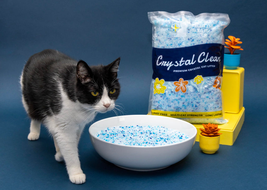 Fresh Scent Crystal Cat Litter with Odor Control, 2X4.3 Lb Bags T23578
