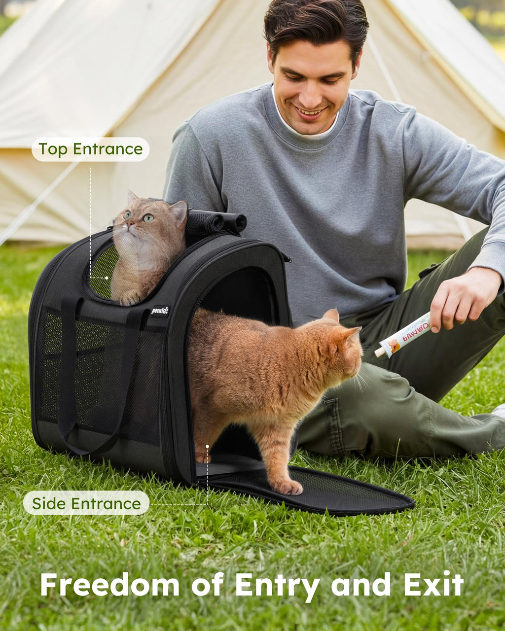 Dark Grey Cat Backpack with Breathable Mesh X21900