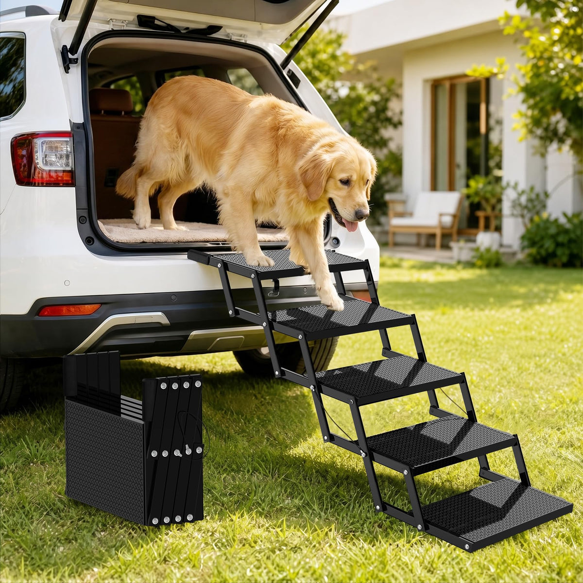 Foldable Dog Stairs Y94271