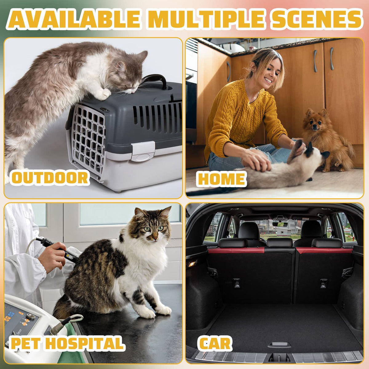 50 Pack Disposable Cat Litter Box X774650