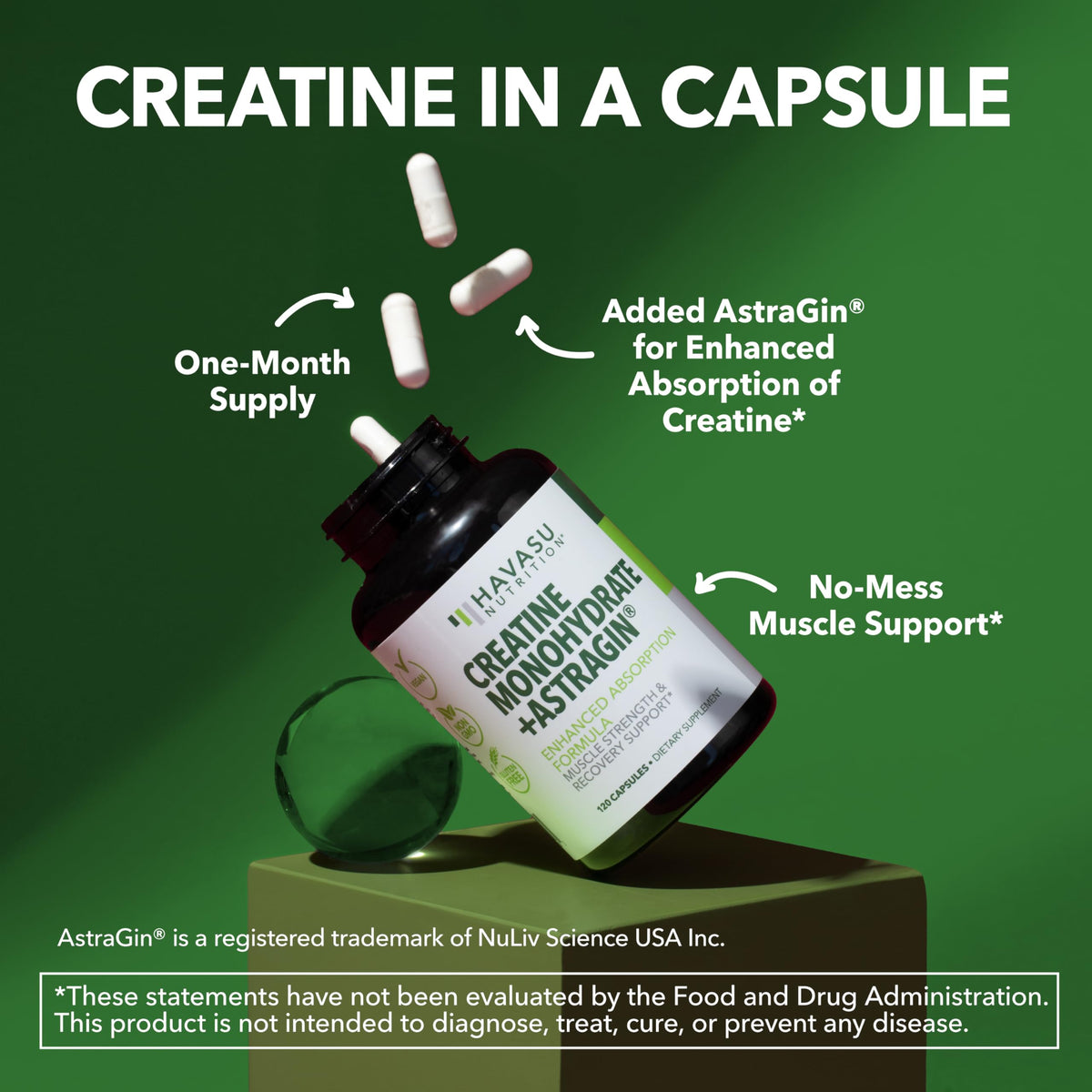 Creatine Monohydrate Capsules 3g Per Serving E484