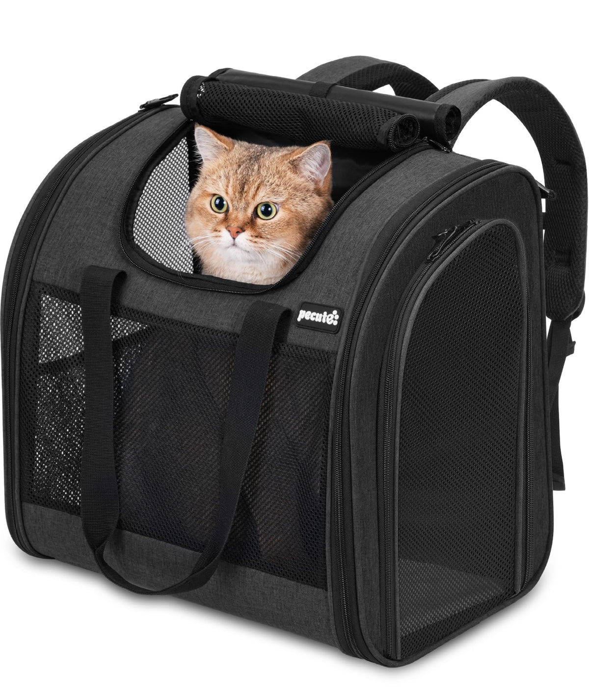 Dark Grey Cat Backpack with Breathable Mesh X21900