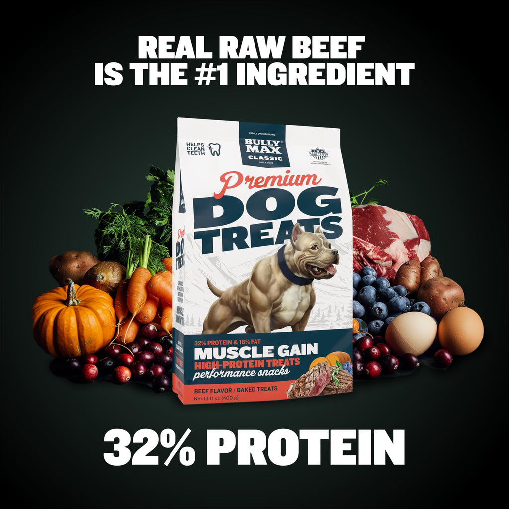 60ct Dog Treats with Vitamins V580255