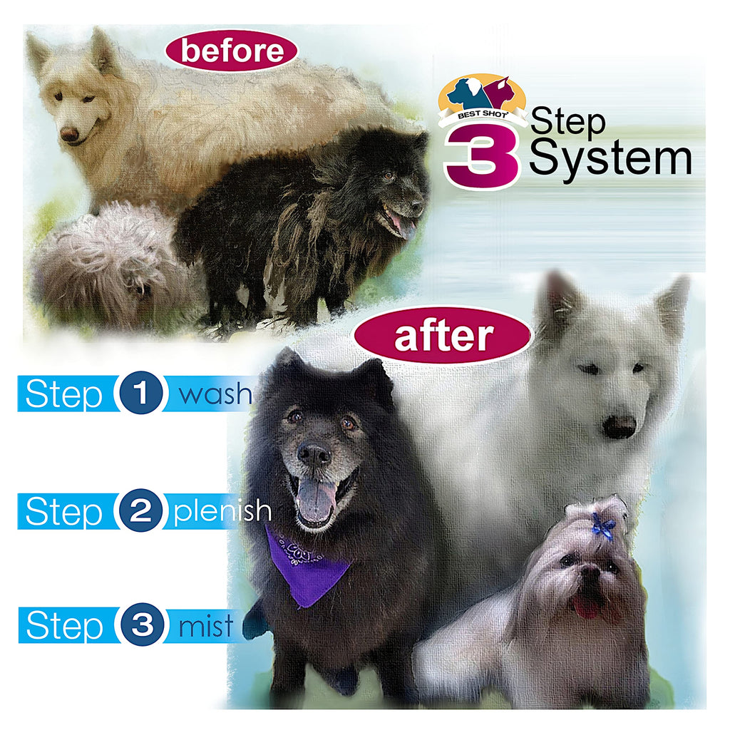 Soap-Free Quick-Rinsing Pet Shampoo 1 Gallon Z916